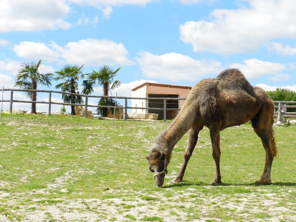 Village Vacances - Defiplanet' Dienné Dış mekan fotoğraf