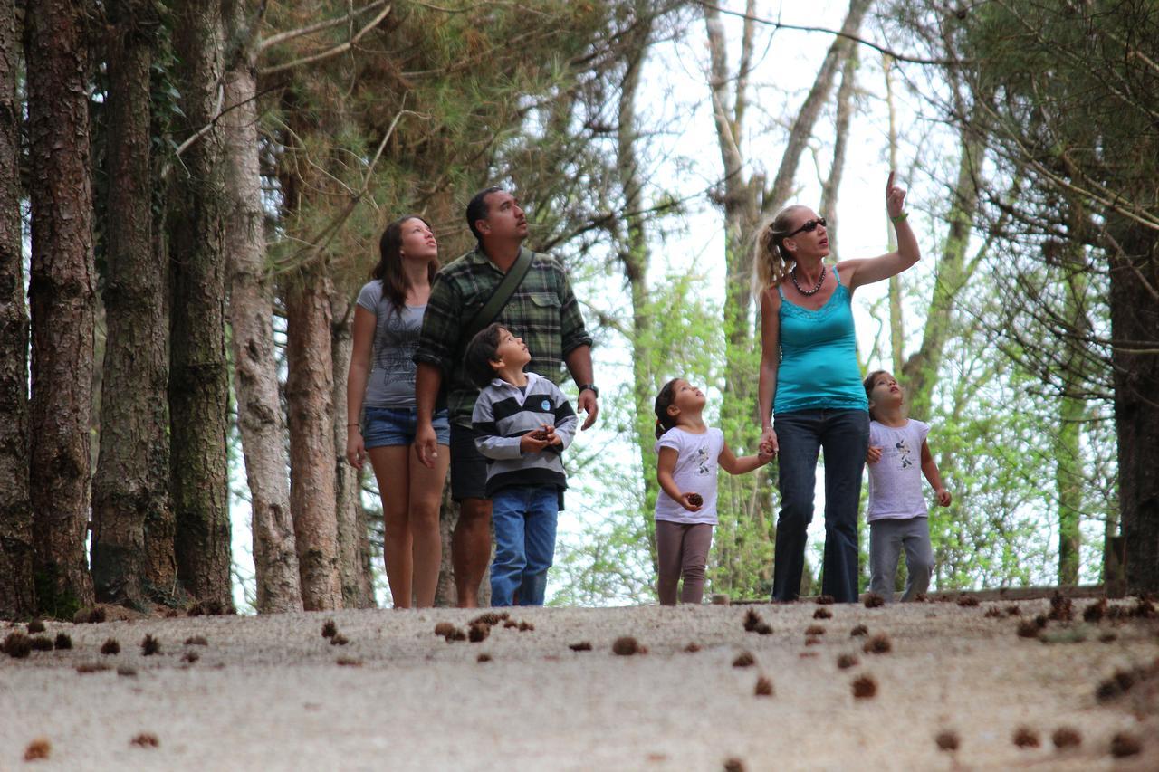 Village Vacances - Defiplanet' Dienné Dış mekan fotoğraf